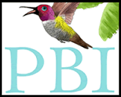 PBI Author & Illustrator of Children's picture books | Island Art Studio | Tropical Art | Bocas del Toro